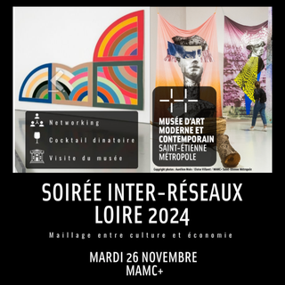 26-11 soirée inter réseaux musée art moderne designers plus 24